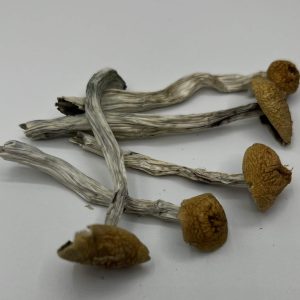 Ecuadorian